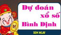 Dự đoán XSBDI 8/4/2021