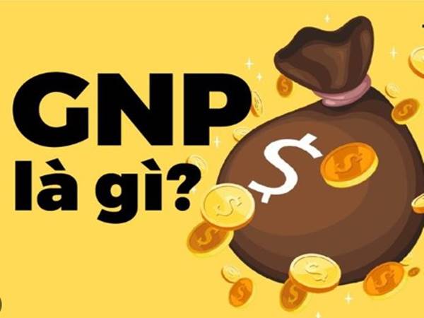 Chỉ số GNP là gì? Bản chất và vai trò của chỉ số GNP 1