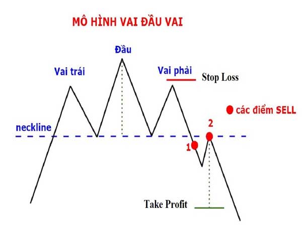 Mô hình vai đầu vai là gì?