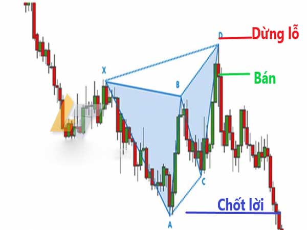 cách giao dịch với mô hình cánh bướm