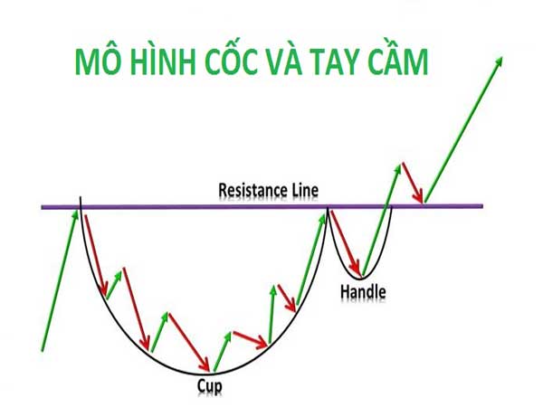 Mô hình cốc tay cầm là gì?