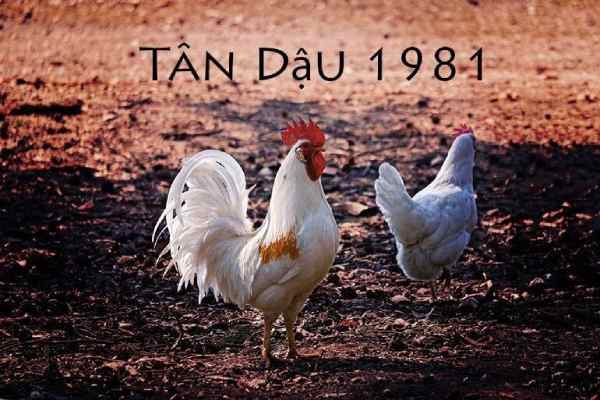 TUỔI TÂN DẬU