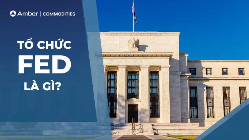 Cấu trúc tổ chức của FED