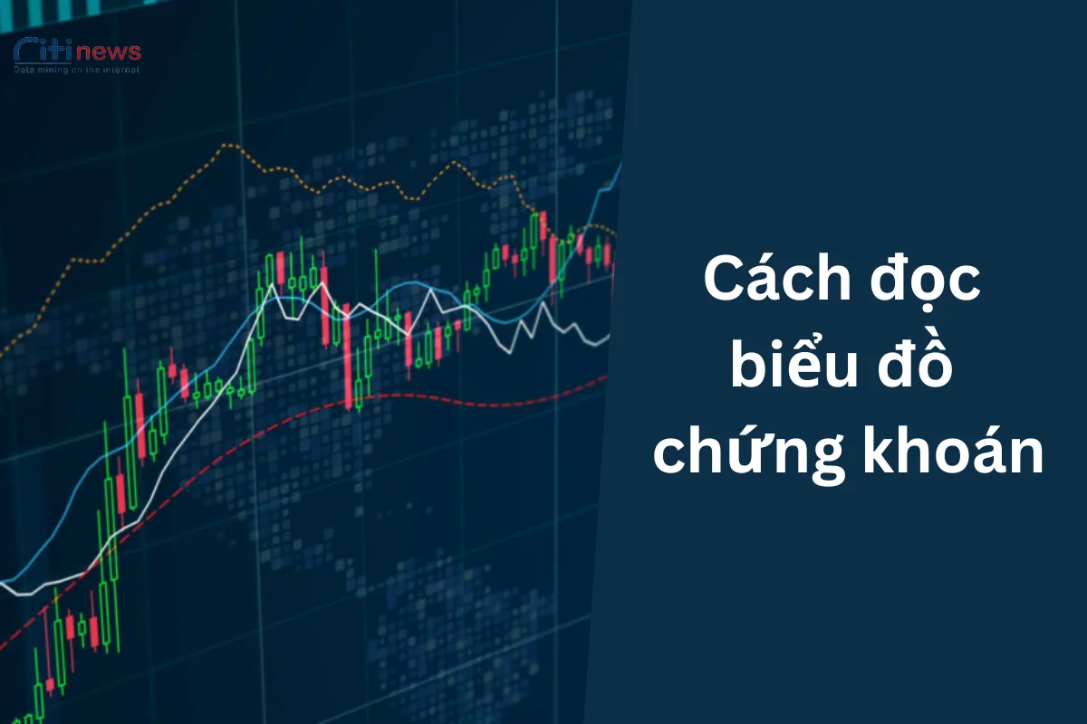 Vùng 3: biến động giá Đọc biểu đồ biến động giá