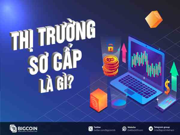 thị trường sơ cấp là gì