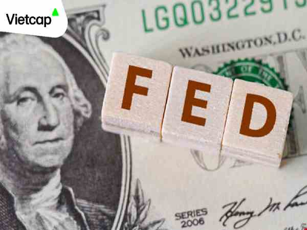 fed là tổ chức gì
