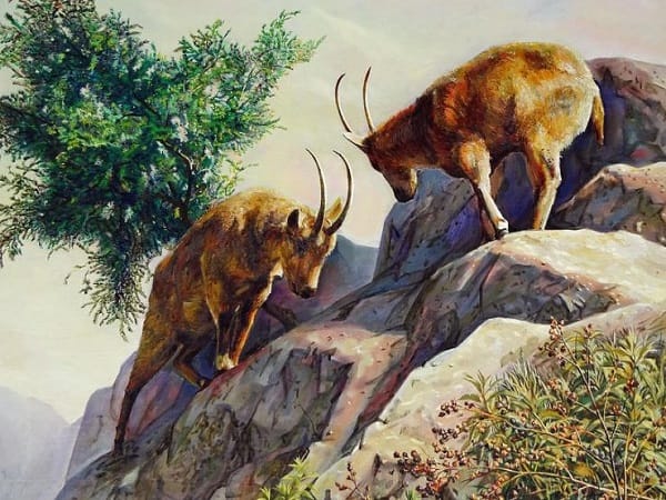 Con số may mắn tuổi Mùi 5/12 theo từng tuổi