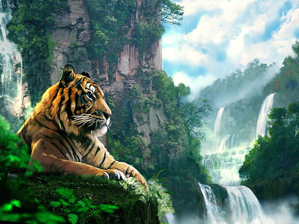 Con số may mắn hôm nay 11/01/2026 chủ nhật của 12 con giáp