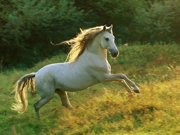 Con số tài lộc hôm nay 11/01/2026 chủ nhật của 12 con giáp Con số tài lộc hôm nay 11/01/2026 chủ nhật của 12 con giáp