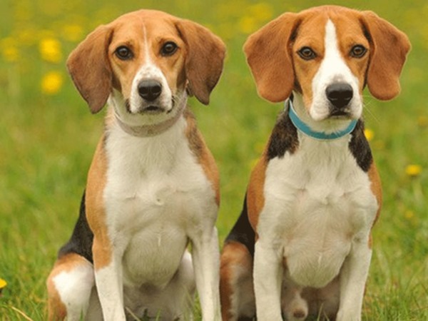 Con số tài lộc hôm nay 11/01/2026 chủ nhật của 12 con giáp Con số tài lộc hôm nay 11/01/2026 chủ nhật của 12 con giáp