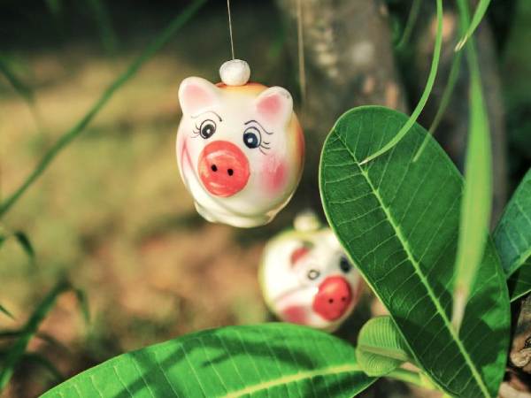 Phân tích con số may mắn tuổi Đinh Hợi ngày 28/2 thứ 7