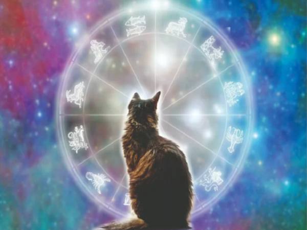 con số may mắn tuổi Ất Mão ngày 4/3 thứ 4